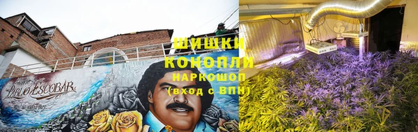 дурь Горнозаводск