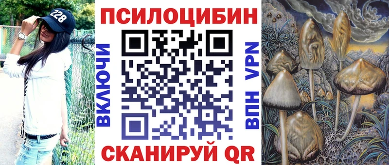 Псилоцибиновые грибы Cubensis  Железноводск 
